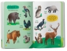 Тварини. 150 перших слів – Катерина Столяренко (Укр/Анг) Кристал Бук (9786175475553) (559027)