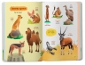 Тварини. 150 перших слів – Катерина Столяренко (Укр/Анг) Кристал Бук (9786175475553) (559027)