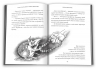 Лицар Смарагдієвого ордену. Дніпроленд. Книга 3. Чернінька Ю. (Укр) Stone Publishing (9789669485267) (508829)