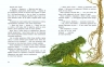 E-BOOK. Мавка Вербичка й песиголовці. Пригоди мавки – Юліта Ран