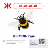 Звуконаслідування. Абетка QR (Укр) Кенгуру (9789667508883) (476134)