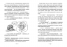 Фокус-покус. Емі і таємний клуб супердівчат. Книга 9 – Агнєшка Мєлех (Укр) ВСЛ (9789664481790) (499234)