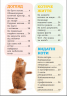 Я люблю котиків (Укр) Зірка 144028 (9786176342083) (473635)