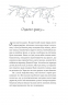 Зваба. Казки Королівств. Книга 4 – Сара Пінборо (Укр) Yakaboo Publishing (9786178225957) (565336)