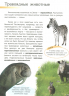 Енциклопедія Пізнаємо та досліджуємо: Тваринний світ (Укр) Ранок К421005У (9786170924544) (262639)