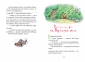 Казки Чарівного лісу. Валько (Укр) Рідна мова (9786178373443) (513242)