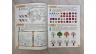 Тести 6 +. Підготовка до школи та розвиток дитини – Галина Фефілова (Укр) Пегас (9786178405106) (560443)