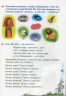 Веселий язичок: логопедичний зошит для дошкільнят. Звуки [л], [р] (Укр) Богдан (9789661053808) (457444)