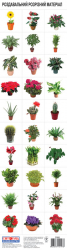 Розрізний матеріал Кімнатні рослини Світогляд (13107030У) (4823076101978) (220645)