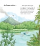 Динозаври. Чому? Чого? Навіщо? 2-4 роки. Анґела Вайнгольд (Укр) Богдан (9789661082655) (509645)