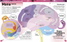 Карколомний мозок. Імпульсивні нейрони, мінливі синапси, хвостаті аксони (Укр) Ранок Н902131У (9786170973856) (464446)