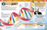 Надзвичайні ДНК (Укр) Ранок Н902103У (9786170970480) (451747)