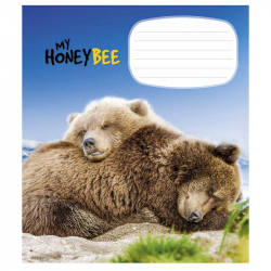 Зошит учнівський My honey bee 18 аркушів, клітинка. Star 2944K (4820006472085) (473347)