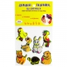 Домашні тваринки, що світяться. Набір фетрових фігурок на підставці (Укр) Книжковий хмарочос (325938180120) (503348)
