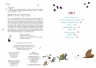 Шалене літо єнотів-бешкетників. Подорож до Баштанової долини – Юлія Олефір (Укр) Чорні вівці (9786176147244) (564448)