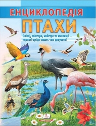 Птахи. Енциклопедія (Укр) Пегас (9786178638344) (560549)