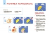 Мій альбом для малювання 3-4 роки. Готуємось до НУШ – Юрченко Н.І. (Укр) Основа (9786170044112) (555953)