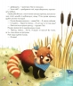 Мала панда Пай. Гула З. (Укр) Vivat (9789669822871) (506853)