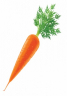 Міні рахунковий матеріал Зайчики і морква (Укр) Роздавальний матеріал Світогляд (13106068У) (4823076122324) (233555)