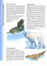 Велика енциклопедія тварин (Укр) Пегас (9789669130747) (282356)