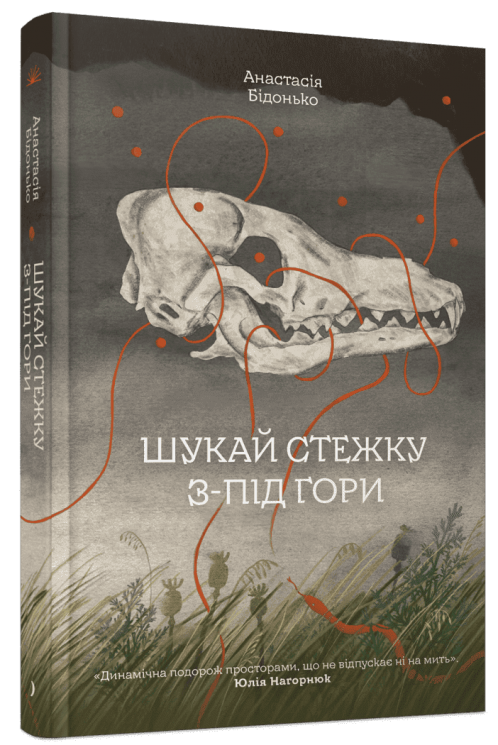 Шукай стежку з-під гори – Бідонько А.