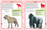 Міні-енциклопедія Дикі тварини 50 найвідоміших видів (Укр) КМ-Букс (9789669482907) (428957)