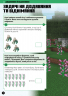 MINECRAFT. Математика. Офіційний посібник. 5-6 років – Деніел Ліпскомб, Бред Томпсон (Укр) Артбукс (9786175230169) (542063)