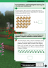 MINECRAFT. Математика. Офіційний посібник. 5-6 років – Деніел Ліпскомб, Бред Томпсон (Укр) Артбукс (9786175230169) (542063)