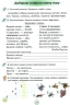 НУШ Українська мова 2 клас. Робочий зошит «Застосовую знання» (Укр) Оріон (9786177355976) (345665)