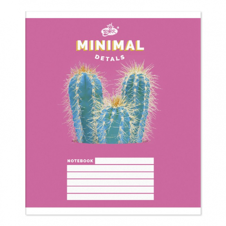 Зошит учнівський Бріск 12 аркушів, коса лінія ТВ-107 №2131 "Мiнiмалiзм" (463867)