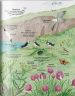 Велика ілюстрована книга про природу. Енциклопедія (Укр) Жорж Z104010У (9786177579242) (296567)