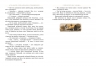 Пеппі Довгапанчоха в південних морях. Книга 3. Астрід Ліндґрен (Укр) Рідна мова (9786178373382) (508667)
