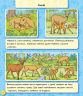 Енциклопедія в картинках: Світ тварин (у) Ранок А158019У (9789667494933) (312768)