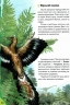 Динозаври. Дитяча енциклопедія. Улюблені автори. Резніченко Л. (Укр) Пегас (9786178357894) (512969)