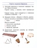 НУШ Мистецтво 4 клас. Робочий зошит. До підручника Рубля, Мед, Щеглова (Укр)Ранок (9786170974389) (465269)