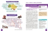 Історія України 11 клас. Підручник (рівень стандарту) – Гісем О.В., Мартинюк О.О., Галімов Акім (Укр) Ранок (9786170993182) (523670)