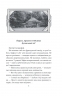 Невідомий з Булонського лісу. Кокотюха А. (Укр) Фоліо (9786175518182) (515472)