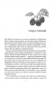 Крамничка чарів. Книга 1 – Сара Бет Дерст (Укр) КСД (9786171517301) (562273)