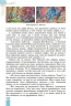 НУШ Зарубіжна література 5 клас. Підручник – Волощук Є. (Укр) Генеза (9786178370282) (555773)