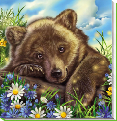 Книга на картоні Милі звірятка: Медвежонок (р) Ранок А582004Р (978-966-74-7585-7) (232875)