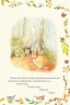 Казка про кролика Пітера. Беатрікс Поттер (Укр) Фоліо (9789660389434) (502875)