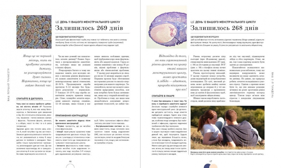 Вагітність день за днем. Практична психологія. Блотт Меґґі