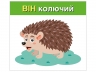 Вивчаємо займенники ВІН, ВОНА, ВОНО, ВОНИ. Навчальні картки (Укр) Ранок (4827476988498) (525081)
