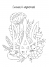 Я українка! Розмальовка для юних патріоток. Прядко В. (Укр) Vivat (9789669828996) (512682)