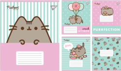 Зошит 18 аркушів лінія Yes Pusheen Candy