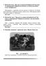 НУШ Українська мова та читання 4 клас Міркуємо разом Зошит з розвитку зв’язного мовлення (Укр) Богдан (9789661065153) (462786)