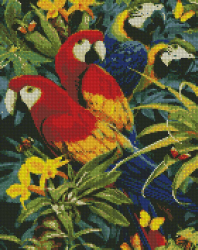 Алмазна мозаїка. Різнокольорові папужки. 40х50 см (Укр) Ідейка AMO7029 (4823104329527) (477186)