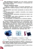 НУШ Пізнаємо природу 6 клас. Підручник. Гільберг Т. (Укр) Генеза (9789661113434) (512987)