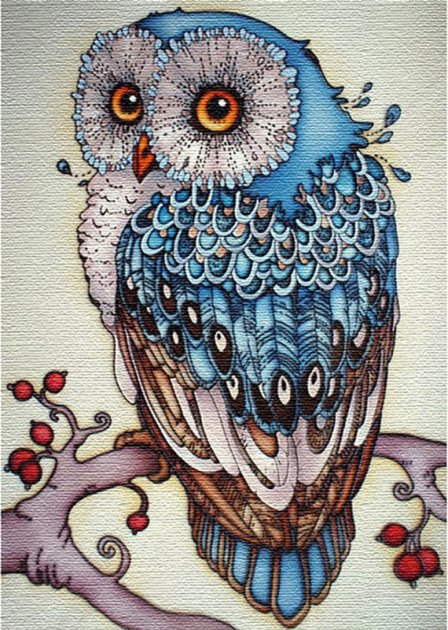 Картина за номерами Тварини, птахи "Сова" 30х40 см Ідейка КНО2458 (4823104309543) (453288)