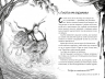 Були собі чаклуни. Чари перші. Були собі чаклуни. Книга 1 – Крессіда Ковелл